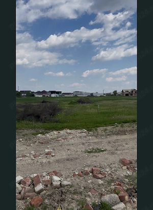 Teren Măgurele Intravilan   500 mp - imagine 3