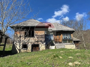 Teren 7,495mp Barsana /  Valea Muntelui