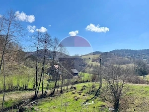 Teren 7,495mp Barsana /  Valea Muntelui - imagine 2