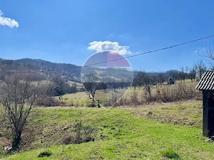 Teren 7,495mp Barsana /  Valea Muntelui - imagine 5