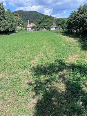 Teren intravilan Gârcina 5 min.de oraș 3300 mp. - imagine 1