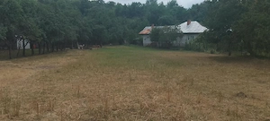 Teren intravilan Gârcina 5 min.de oraș 3300 mp. - imagine 2