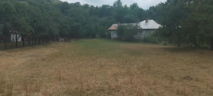 Teren intravilan Gârcina 5 min.de oraș 3300 mp. - imagine 3
