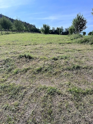 Teren intravilan Gârcina 5 min.de oraș 3300 mp. - imagine 5
