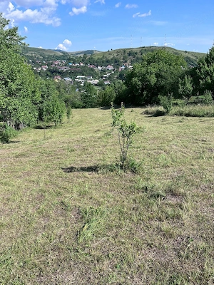Teren intravilan Gârcina 5 min.de oraș 3300 mp. - imagine 6