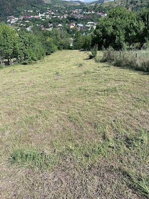 Teren intravilan Gârcina 5 min.de oraș 3300 mp. - imagine 7
