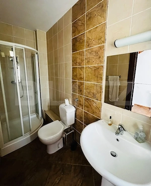 Casă cu teren 500 mp, Livezeni - imagine 15