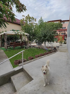 Vila Dristor- Ramnicu Sarat