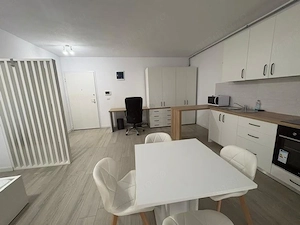 Inchiriez apartament cu o camera, etaj 8 din 9, - imagine 3