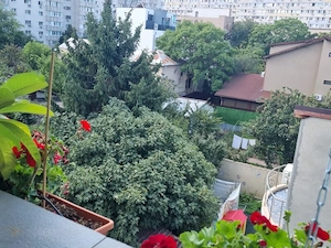 Baba Novac ,5 minute metrou Dristor  - imagine 5
