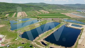 Teren Extravilan cu lac – Investiție în Natură și Agrement | 35.251 mp - imagine 5