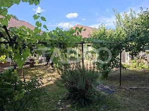 Casa cu 2 camere decomandate 335 mp teren in zona Parcul Tineretului - imagine 6