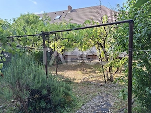 Casa cu 2 camere decomandate 335 mp teren in zona Parcul Tineretului - imagine 7