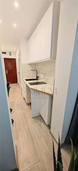 Apartament 1 camera-Renovat-Blascovici - imagine 2