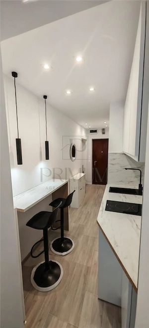 Apartament 1 camera-Renovat-Blascovici