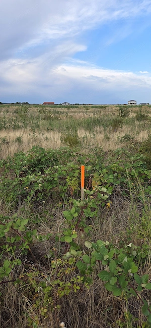 Teren Cihei - Apateului, Zona Grigorescu 2, aproape de str. Lamaitei, langa padure - imagine 2