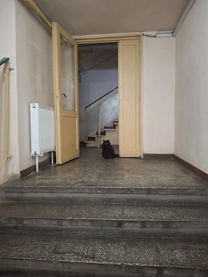 vanzare 3 camere Petre Ispirescu  - imagine 7