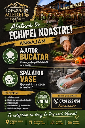 Angajam Urgent Ajutor bucatar si Spalator Vase - imagine 2