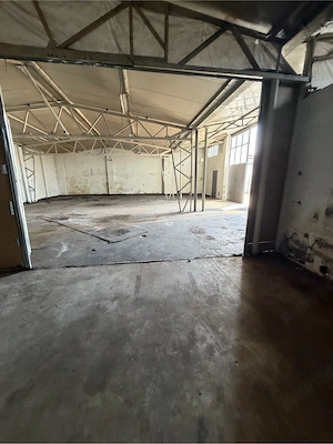 hala timisoara 1200 euro  - imagine 2