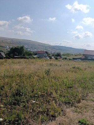 Vănd teren extravilan pe Valea Chintaului! - imagine 9