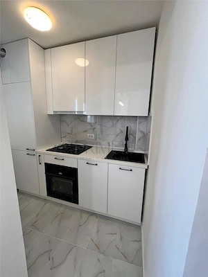 Apartament 1 camera-Renovat-Take Ionescu - imagine 2