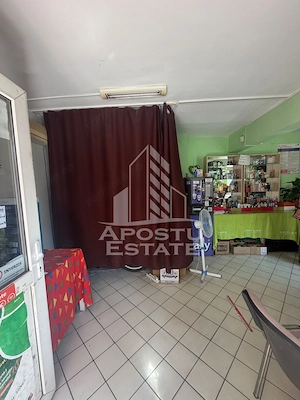 Apartament cu 3 camere de vanzare , Zona Aradului , Timisoara - imagine 6