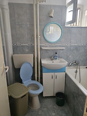 Inchiriez apart 2 camere zona Boul Rosu - Romanilor ID:RH-45555-property - imagine 7