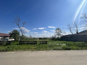 Teren intravilan Ciocănești (Călărași)