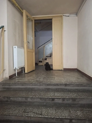 vanzare 3 camere Petre Ispirescu - imagine 7