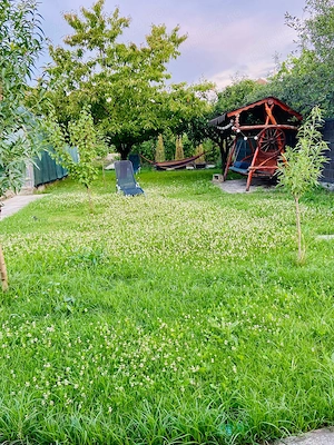 Proprietar vand casa familiala P+M in Giarmata - imagine 7