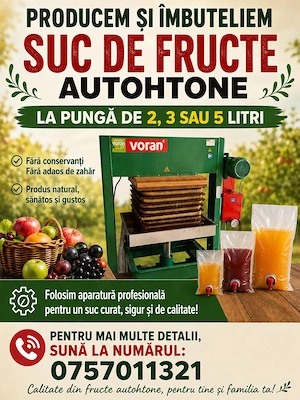 Procesam suc din fructe 