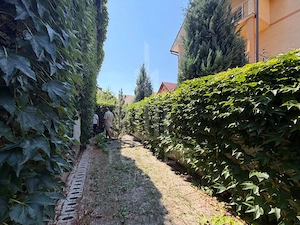Casă premium de vânzare- zona Ștrand - imagine 41