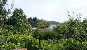 Snagov, casa 5 camere,  2021, Snagov, Ghermanesti - imagine 3