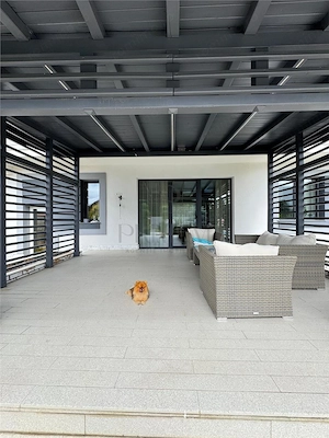 BUZIASULUI - CASA INDIVIDIUALA PREMIUM - 4 CAMERE LUX  3 BAI - PISCINA - GARAJ - TEREN 712mp - imagine 4