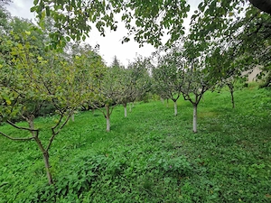 CASĂ DE VÂNZARE ÎN CENTRUL COMUNEI SOVEJA, ideală pentru locuire sau casă de vacanță - imagine 10