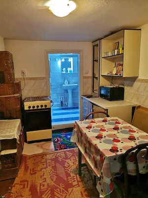 CASĂ DE VÂNZARE ÎN CENTRUL COMUNEI SOVEJA, ideală pentru locuire sau casă de vacanță - imagine 5