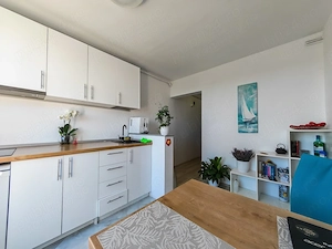 1 cam decomandat centrala proprie Bld Parvan - imagine 3