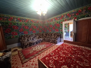 CASĂ DE VÂNZARE ÎN CENTRUL COMUNEI SOVEJA, ideală pentru locuire sau casă de vacanță - imagine 9