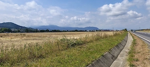 Teren intravilan industrial, DN1A Sacele - Brasov. - imagine 4