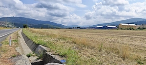 Teren intravilan industrial, DN1A Sacele - Brasov. - imagine 7