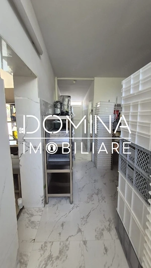 Închiriere spațiu comercial 126 mp,  vizibilitate stradală - Calea Severinului - imagine 4