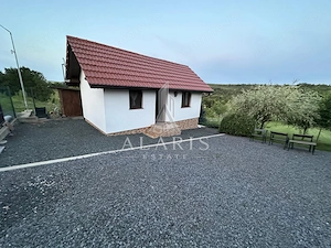 Domeniu privat, cu padure, cabana si teren de tenis, in Nadas - imagine 7