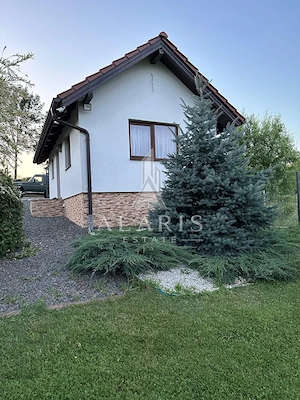 Domeniu privat, cu padure, cabana si teren de tenis, in Nadas - imagine 5
