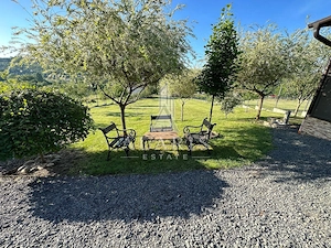 Domeniu privat, cu padure, cabana si teren de tenis, in Nadas - imagine 15