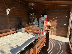 Domeniu privat, cu padure, cabana si teren de tenis, in Nadas - imagine 12