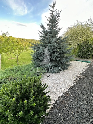 Domeniu privat, cu padure, cabana si teren de tenis, in Nadas - imagine 13