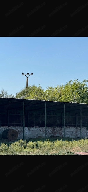 Vând fermă agricola 