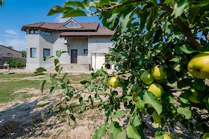 CASA P+M | 5 CAMERE | TEREN 1000 MP - imagine 2