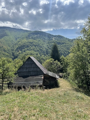 Teren Montan 6.572 mp Jieț (Petrila , Județul Hunedoara) - imagine 7
