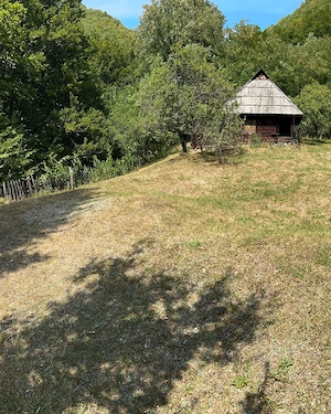 Teren Montan 6.572 mp Jieț (Petrila , Județul Hunedoara) - imagine 2